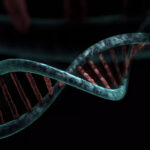 Metagraph Công Cụ 'google' Tìm Kiếm Trong Thế Giới Dna Featured