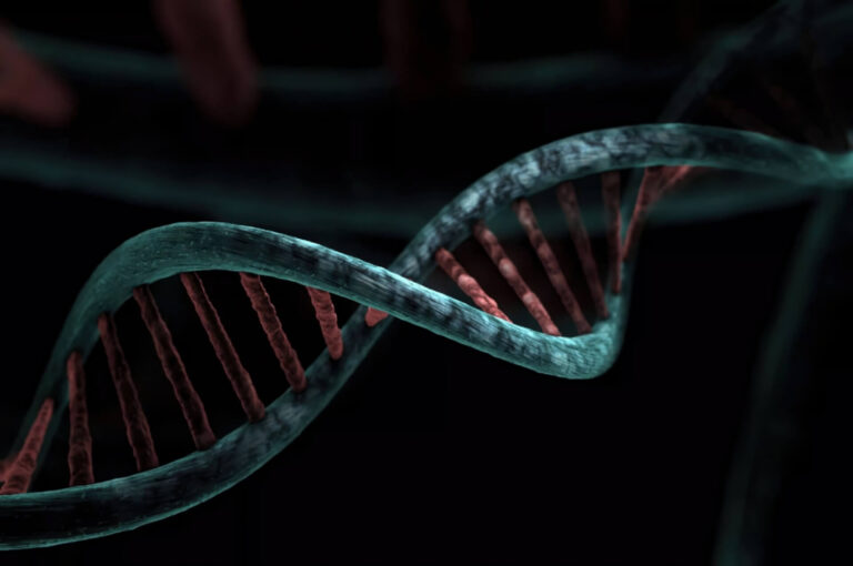 Metagraph Công Cụ 'google' Tìm Kiếm Trong Thế Giới Dna Featured