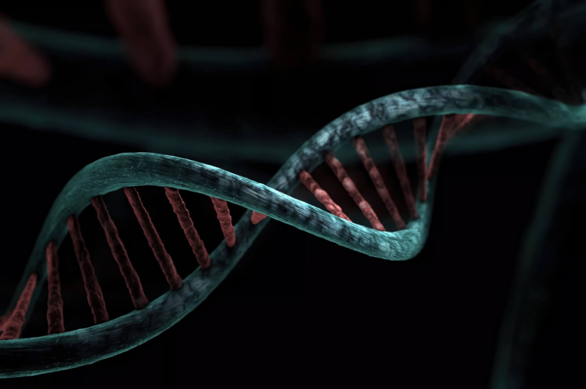 Metagraph Công Cụ 'google' Tìm Kiếm Trong Thế Giới Dna Featured