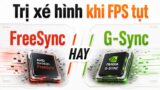 Chơi game bị xé hình trên laptop: chọn màn FreeSync hay G-Sync?