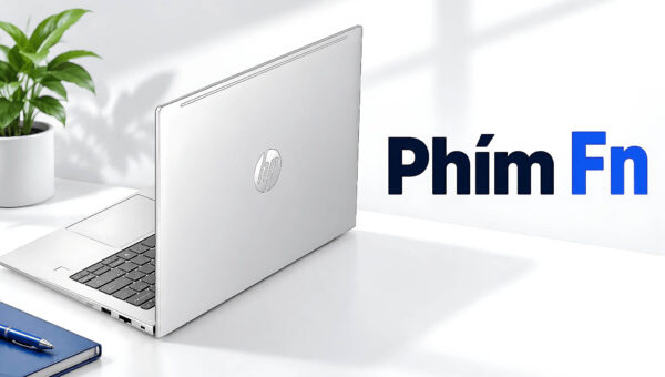 Phím Fn và Fn Lock - Cách chỉnh hàng phím F1 đến F12 trên laptop